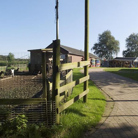 Holiday Home Ossa Basecamp Sint Odiliënberg Oda fotoğraf